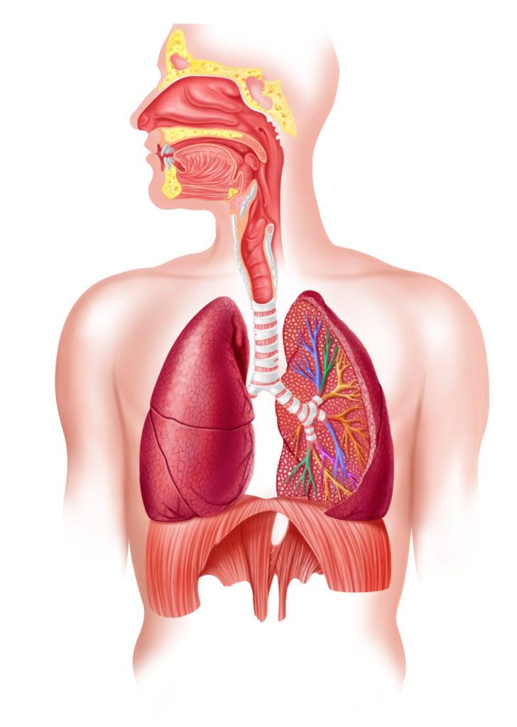 Why Nasal Breathing is Essential for Young Athletes - Q&A with Patrick ...